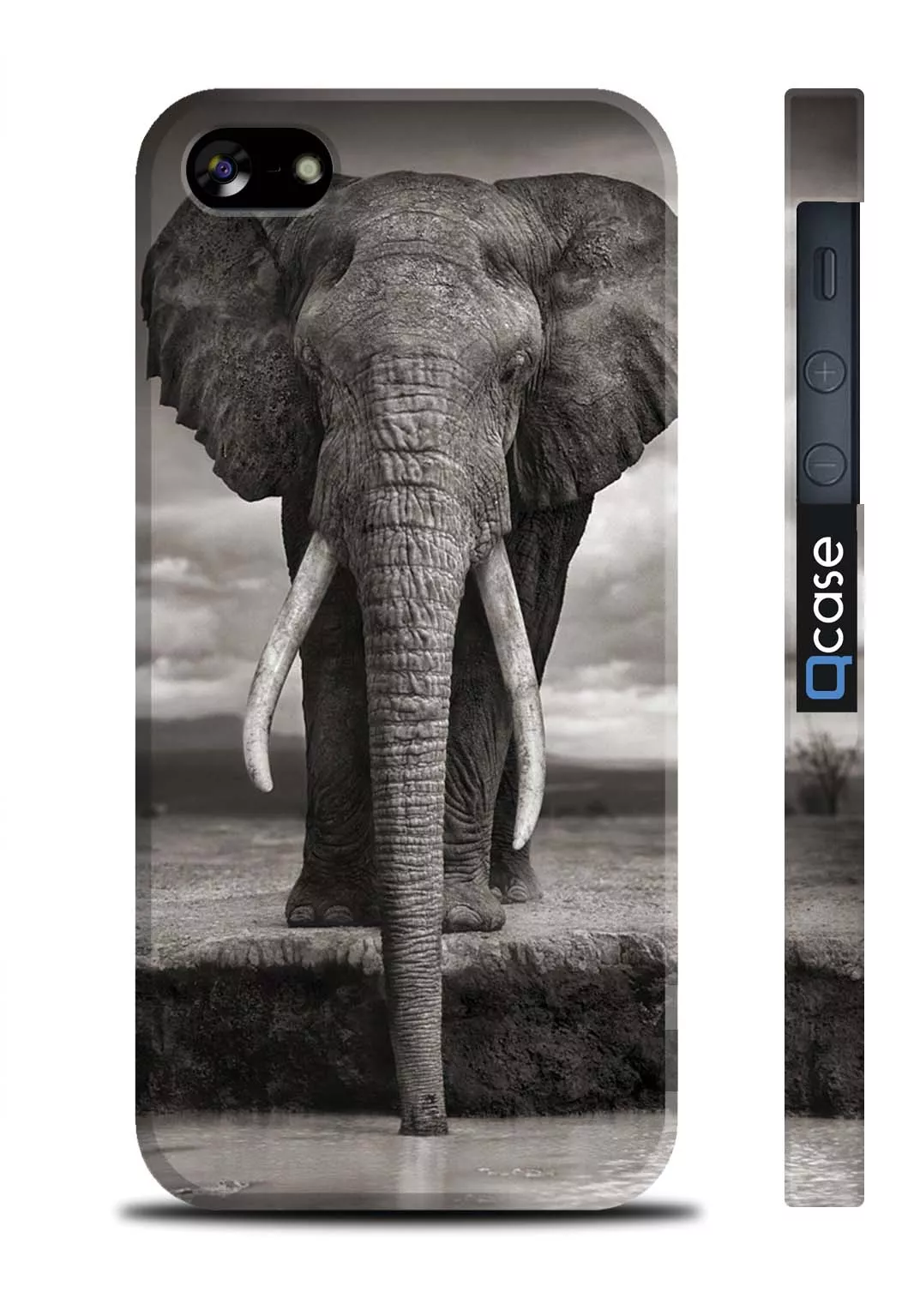 Чехол с фото большого красивого слона для iPhone 5, iPhone 5S