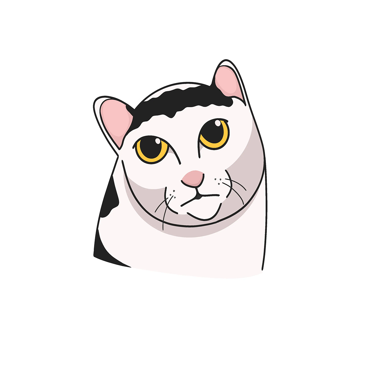 Cat / Кот -12