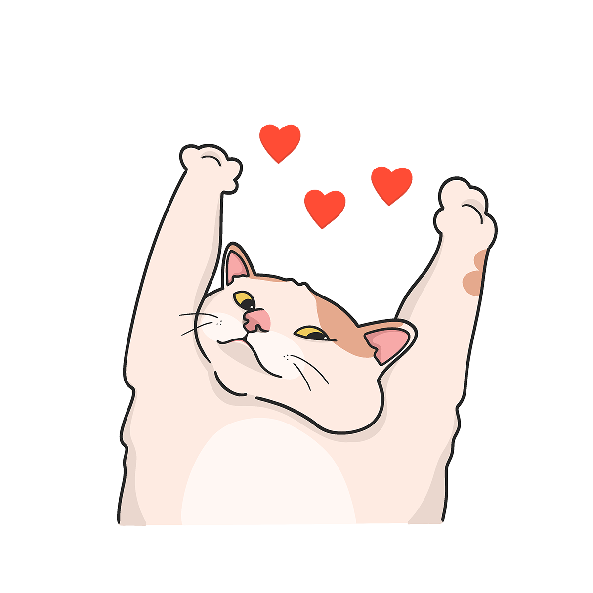 Cat / Кот -15