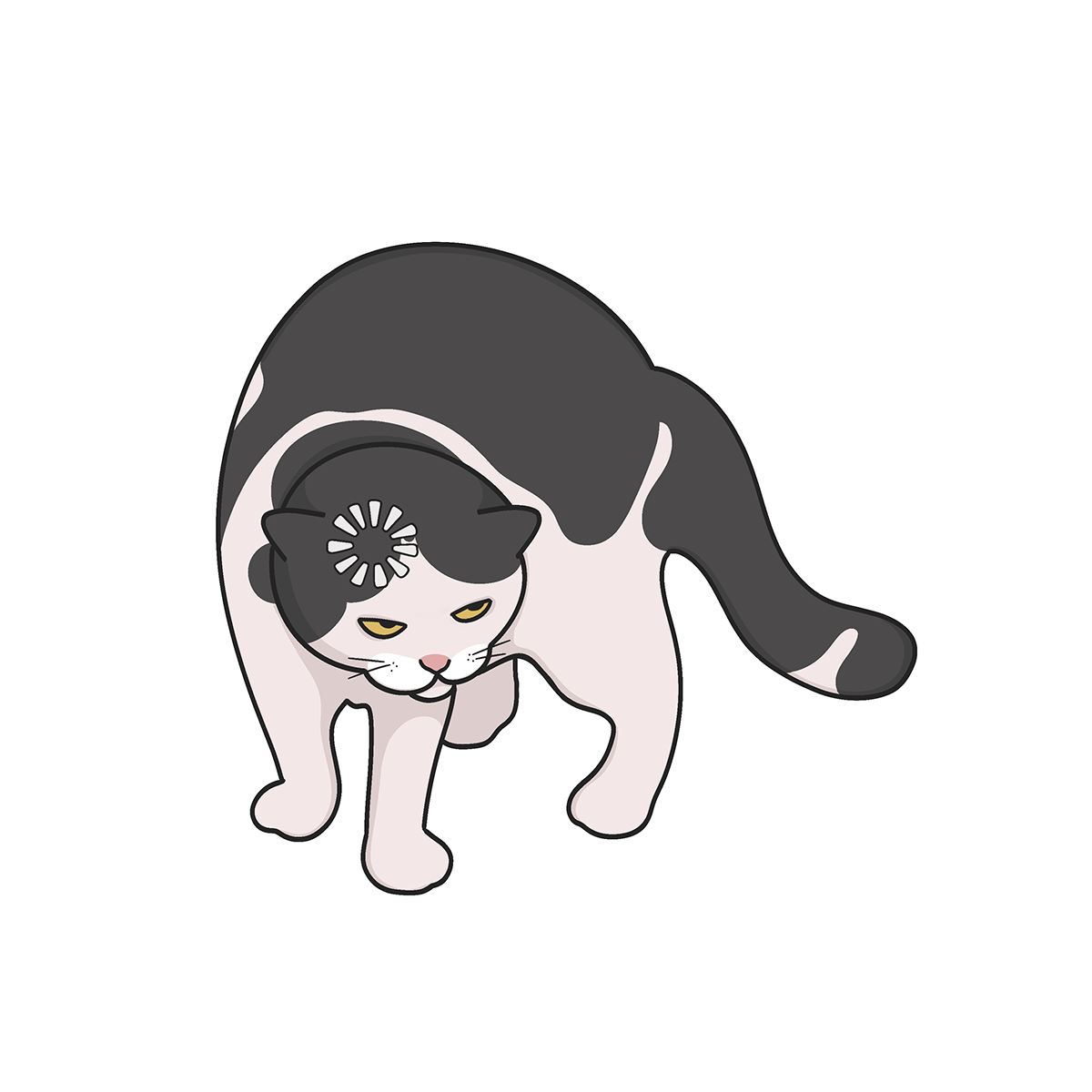 Cat / Кот -16