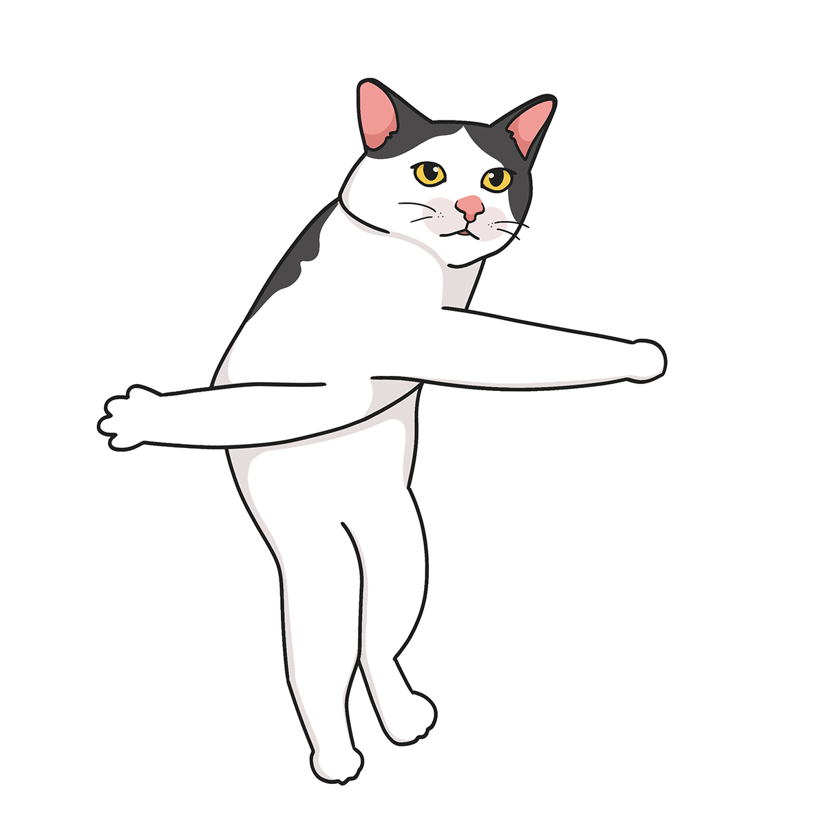 Cat / Кот -18