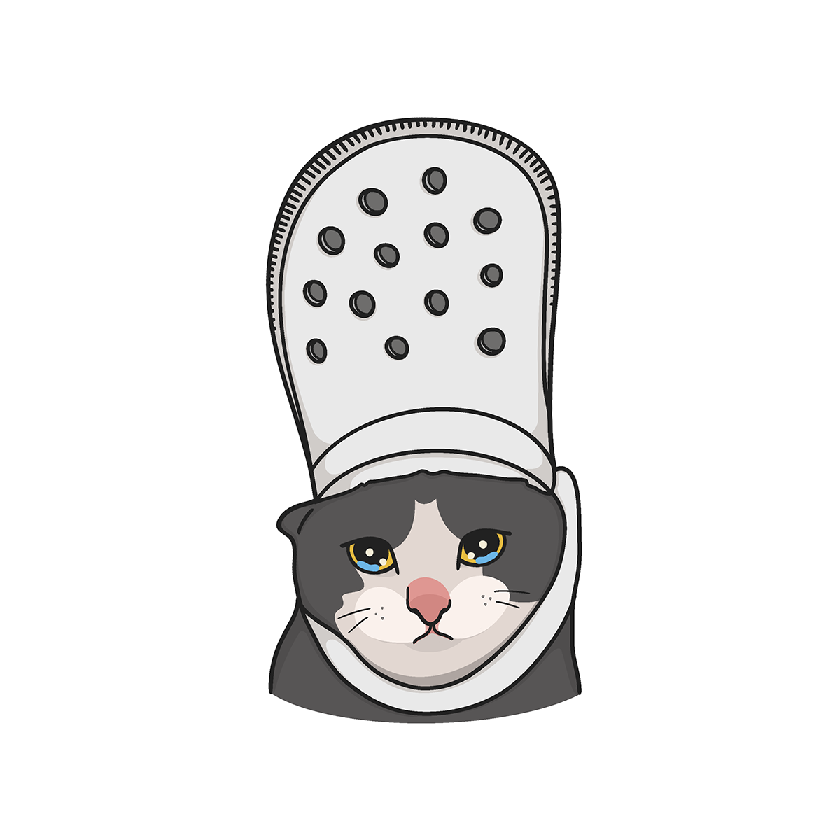 Cat / Кот -22