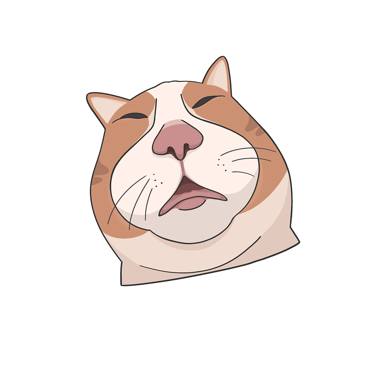 Cat / Кот -23