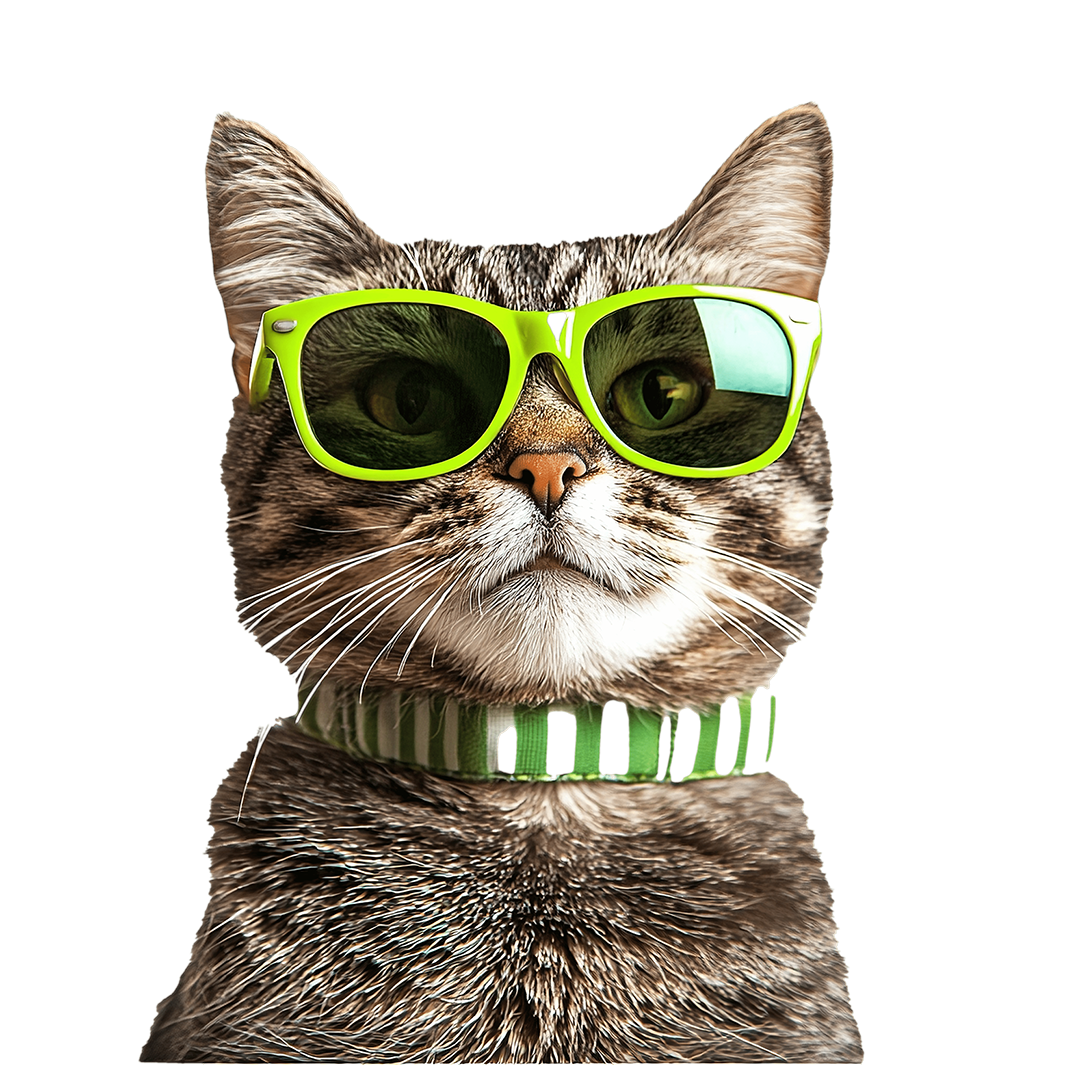 Cat / Кот -46