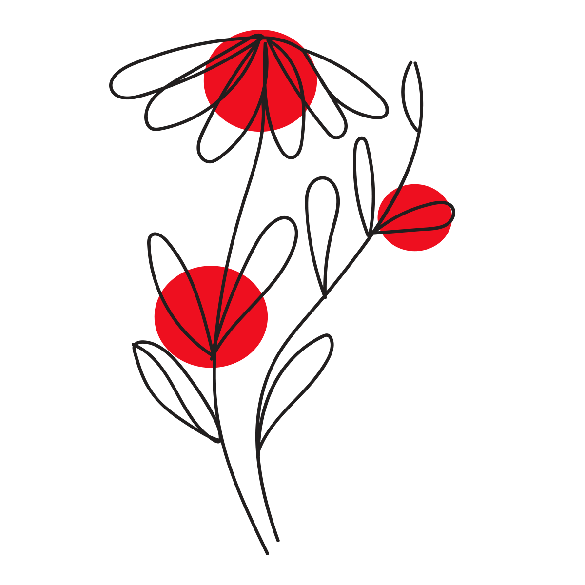 Цветы - 26