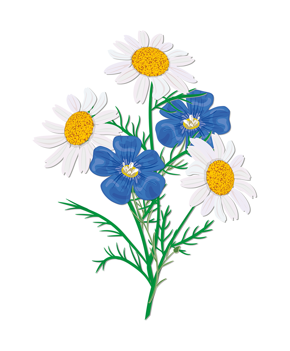 Цветы - 29