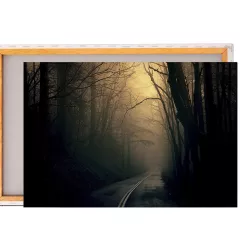 Картина / Холст - Темный лес