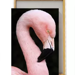 Картина / Холст - Flamingo