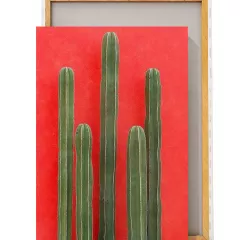 Картина / Холст - Cacti