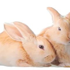 Прикольная подушка в виде двух кроликов