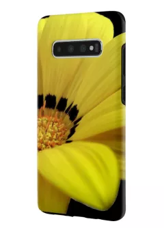 Samsung Galaxy S10 Plus гибридный противоударный чехол LoooK с картинкой - Красота цветка