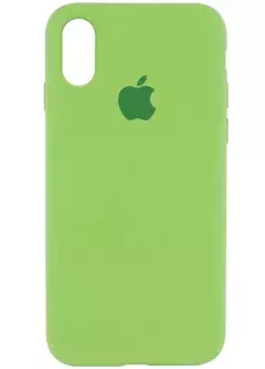 Чехол Silicone Case Full Protective (AA) для Apple iPhone XR (6.1"), Мятный / Mint