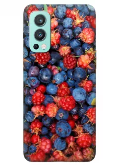Чехол для OnePlus Nord 2 5G с аппетитным фото спелых ягод