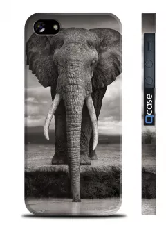 Печать на накладке iPhone 4/4S - Elephant