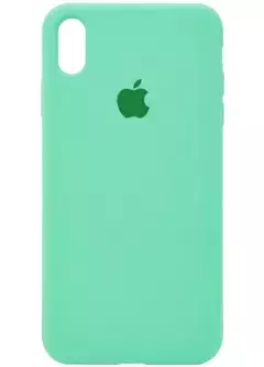 Чехол Silicone Case Full Protective (AA) для Apple iPhone XS || Apple iPhone X, Зеленый / Spearmint
