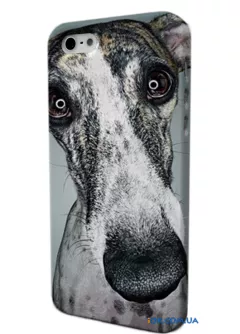 Чехол с фото  собачьей морды для iPhone 4/4S/5/5S 