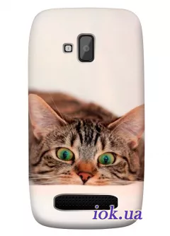 Красивый чехол для Nokia Lumia 610 с котенком