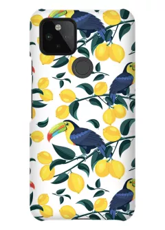 Радостный противоударный пластиковый чехол для Google Pixel 4A 5G с принтом - Туканы и лимоны