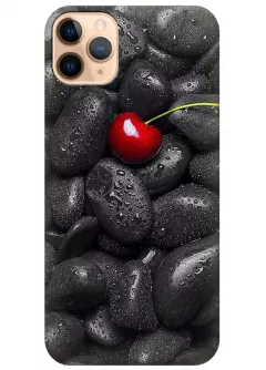 Чехол для iPhone 11 Pro Max - Вишня на камнях