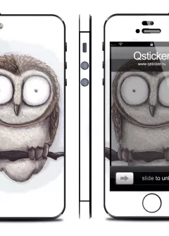 Винил для iPhone 5 - Owl