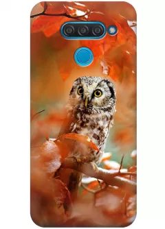 Чехол для LG Q60 - Осенняя сова
