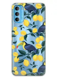 Радостный чехол для Motorola G71 с принтом - Туканы и лимоны