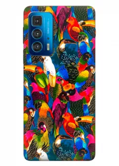 Motorola Edge 20 Pro силиконовый чехол с картинкой - Попугайчики