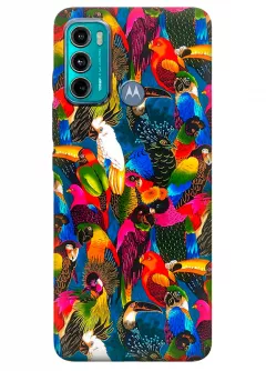 Motorola G60 силиконовый чехол с картинкой - Попугайчики