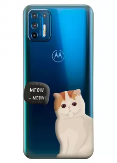 Чехол для Motorola Moto G9 Plus - Котенок