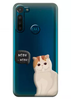 Чехол для Motorola Moto G8 - Котенок