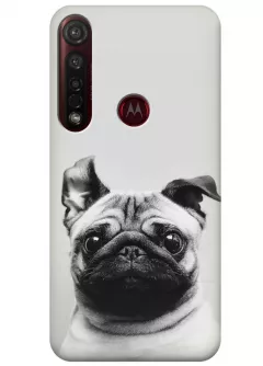 Чехол для Motorola Moto G8 Plus - Мопс
