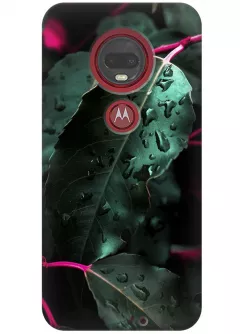 Чехол для Motorola Moto G7 - Весна