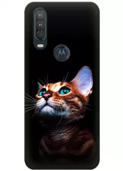 Чехол для Motorola One Action - Зеленоглазый котик