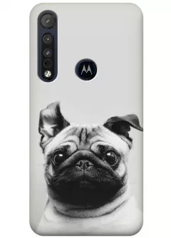 Чехол для Motorola One Macro - Мопс
