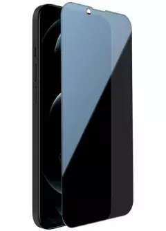 Защитное стекло Privacy 5D Matte (full glue) (тех.пак) для Apple iPhone 13 mini (5.4"), Черный