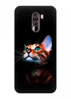 Чехол для Xiaomi Pocophone F1 - Зеленоглазый котик