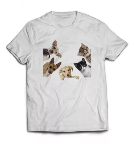Белая мужская футболка - Коты и собаки