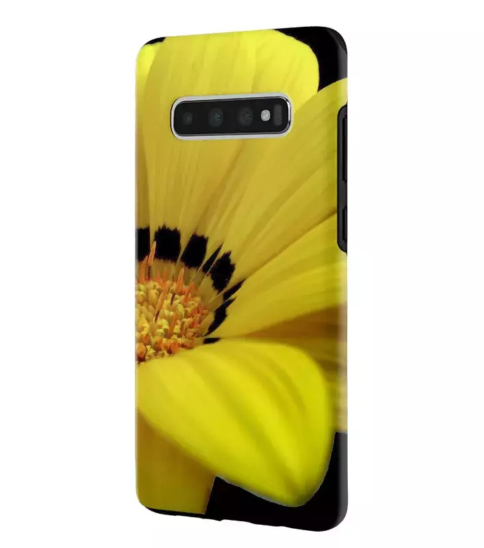 Samsung Galaxy S10 гибридный противоударный чехол LoooK с картинкой - Красота цветка