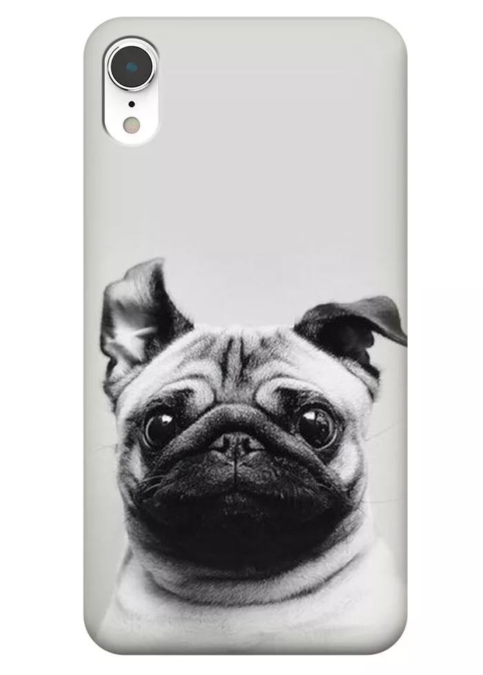 Чехол для iPhone XR - Мопс